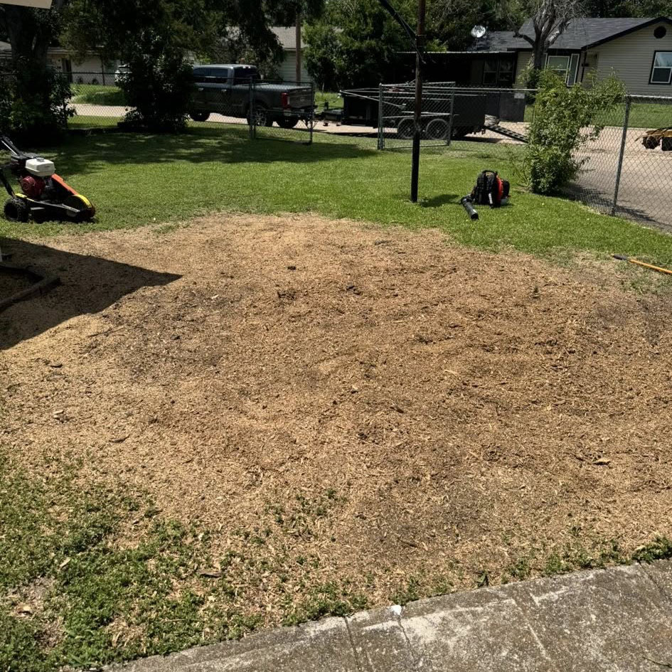 Tree Services near me